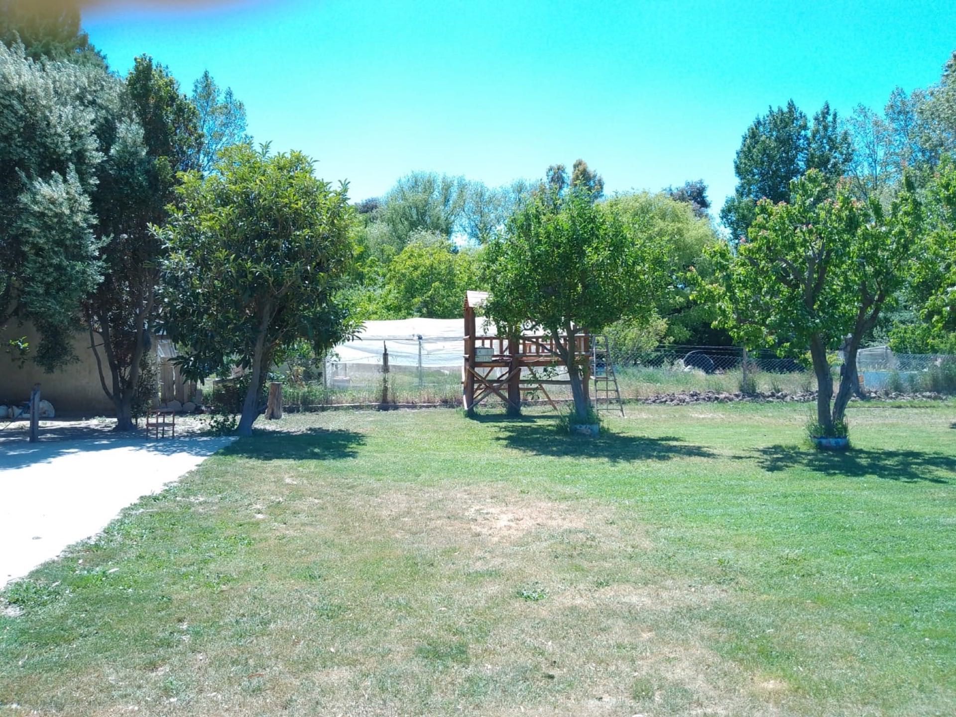 Césped y árboles al fondo de la parcela