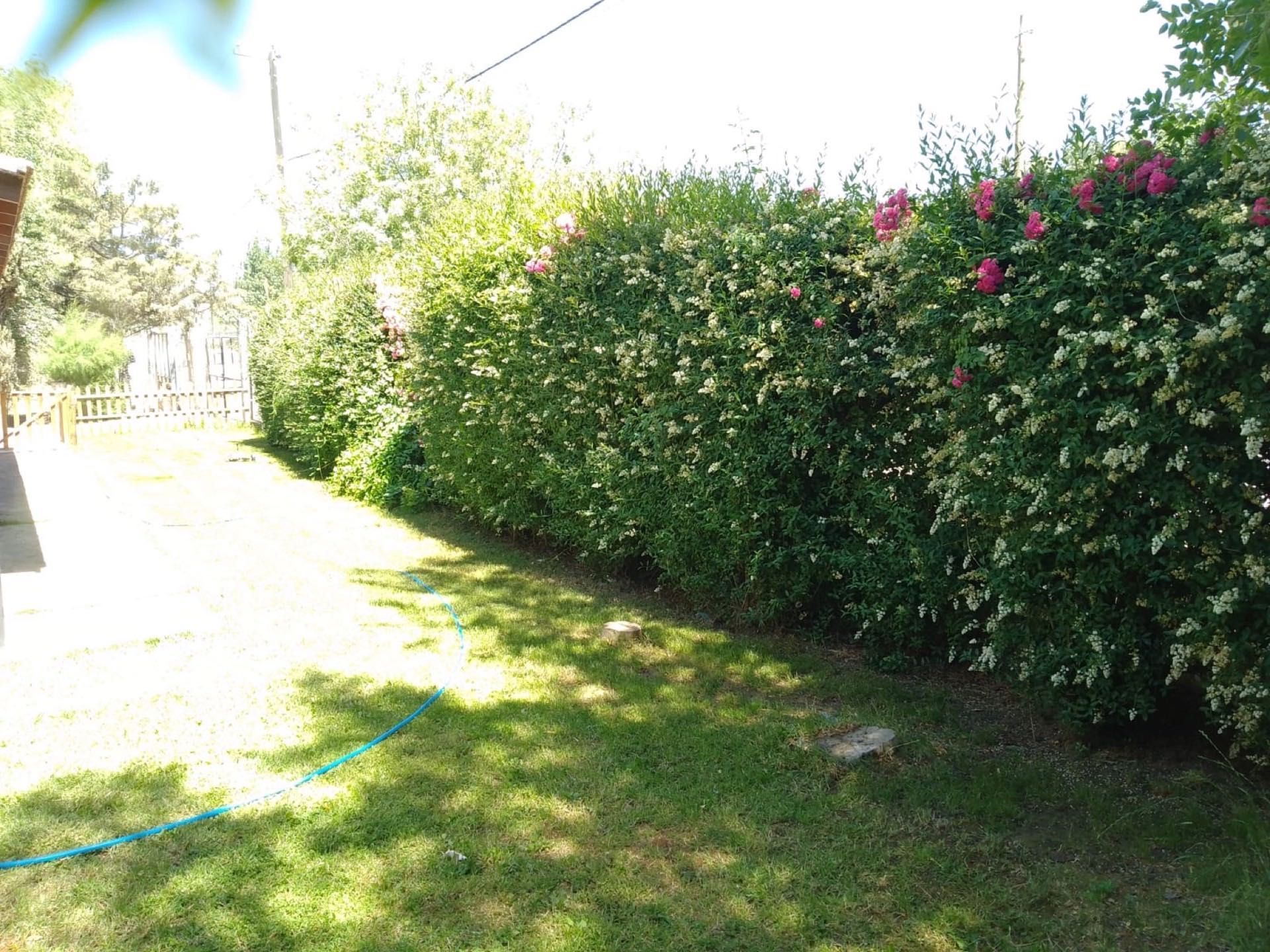 Camino de entrada junto a un cerco vivo con flores