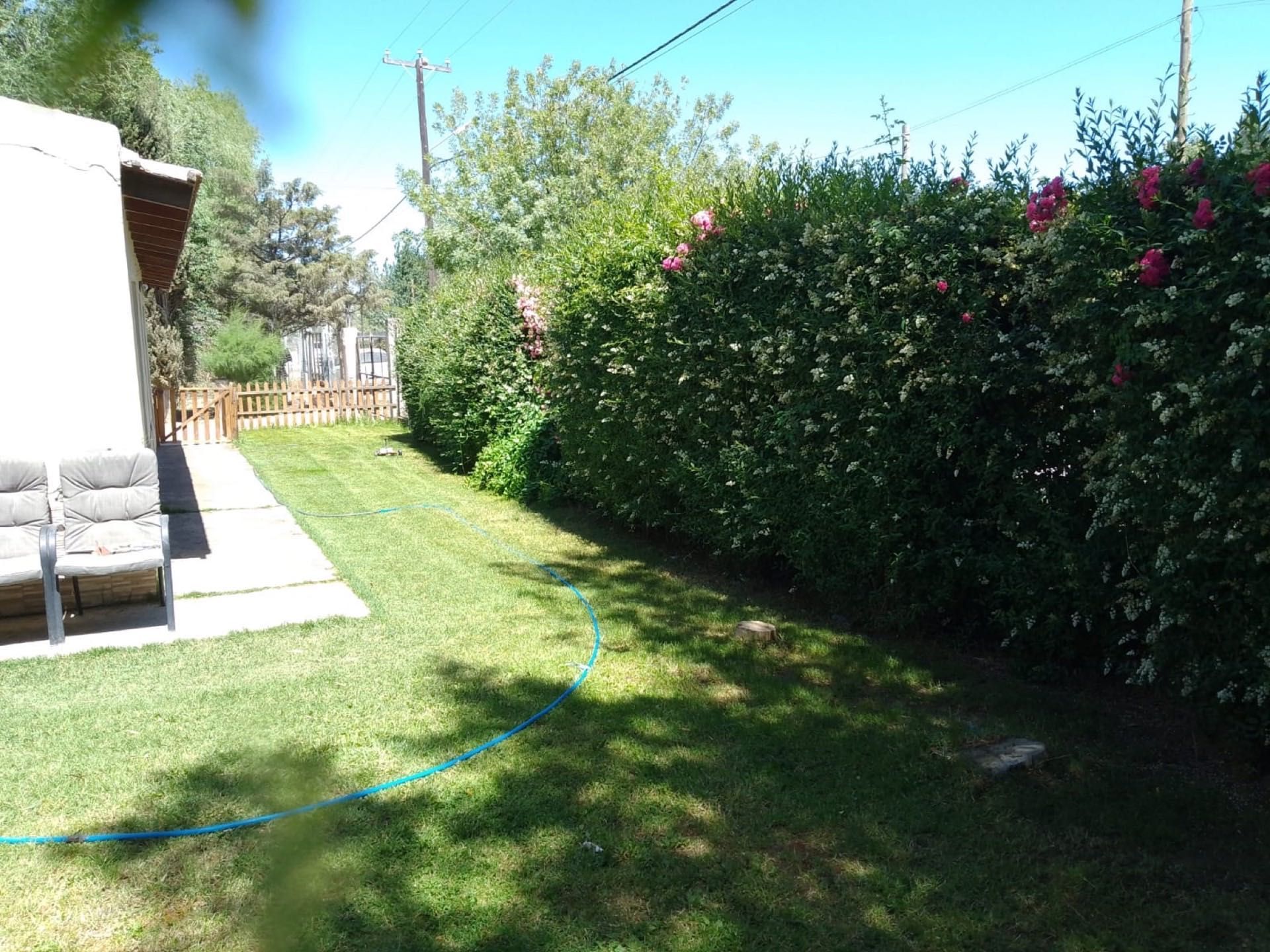 Césped y cerco vivo al costado de la casa