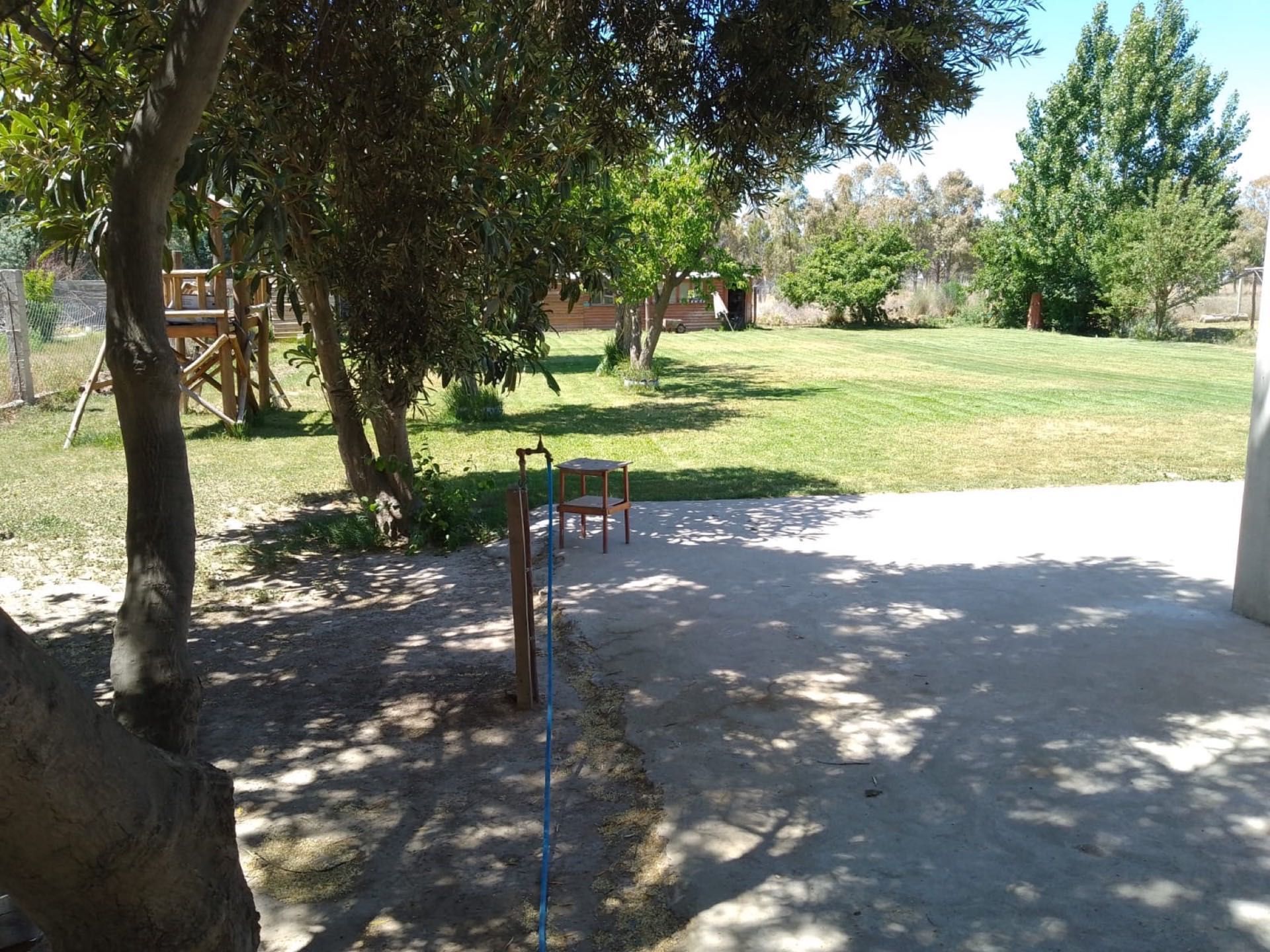 Césped, árboles y camino de ripio