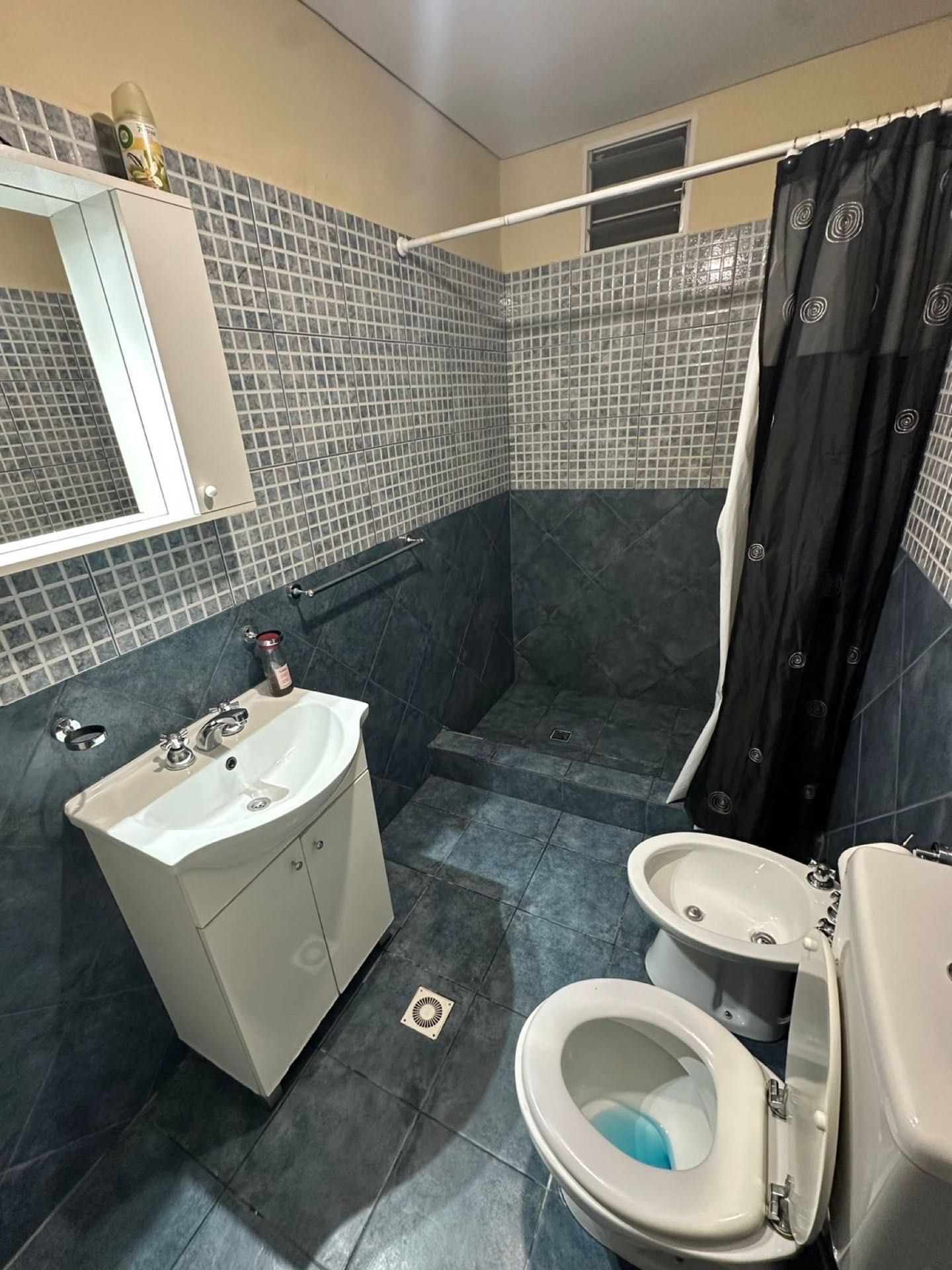 Baño revestido en gris, con ducha y bidet